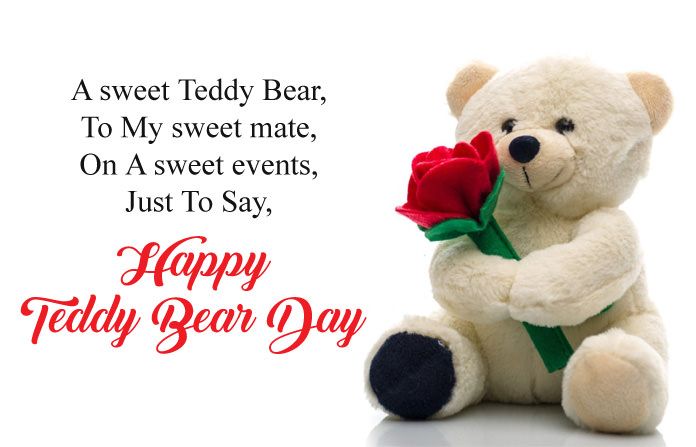 teddy-day